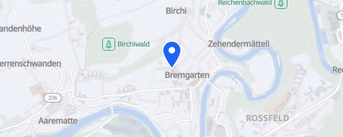 Bremgartenlauf, Lauf & Walking Event