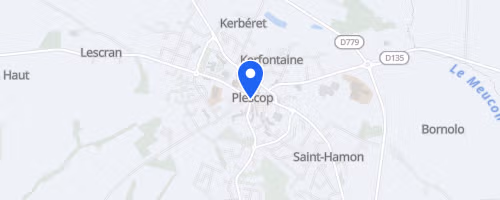 Les marcels à Plescop