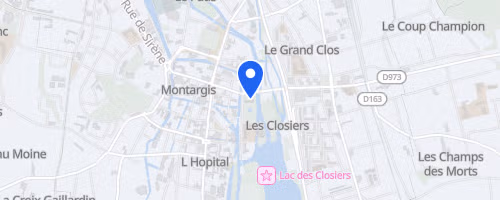 Semi-marathon de Montargis