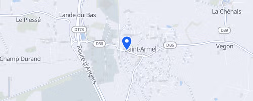 Les foulées de st armel - Saint-Armel