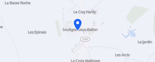Les Foulées des Portes du Maine