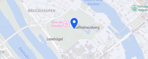 37. Sri Chinmoy Donauparklauf