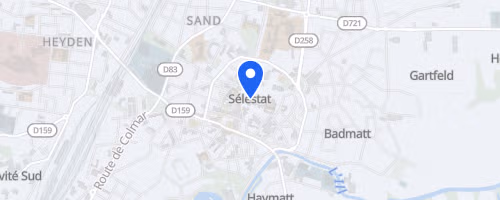 Courses de sélestat