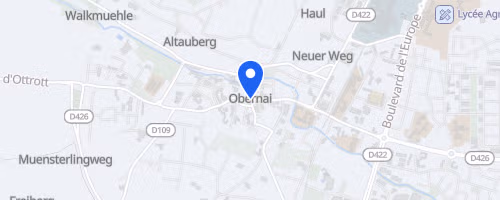 Les onze km d'Obernai