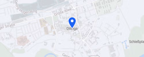 B2Run Dillingen/Saar