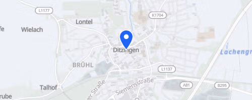 2. Ditzinger Keltenlauf