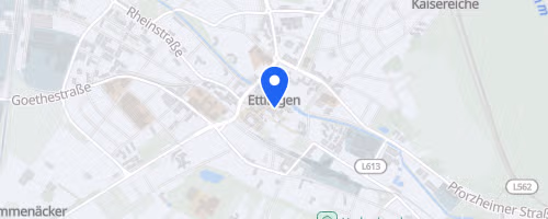 SWE Halbmarathon Ettlingen