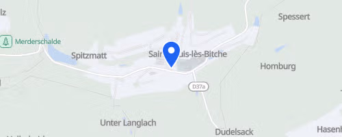 Foulées du cristal - Saint-Louis-lès-Bitche