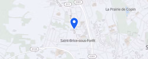La saint briceenne - Saint-Brice-sous-Forêt