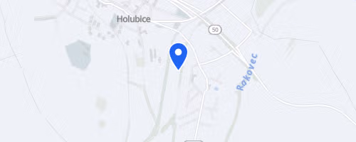 Běh s holubicí
