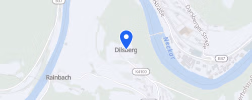 3. Neckarlauf 7. Etappe Neckargemünd-Dilsberg - Mannheim-Sandhofen