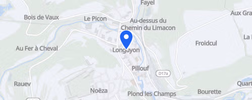 Foulées Longuyonnaises