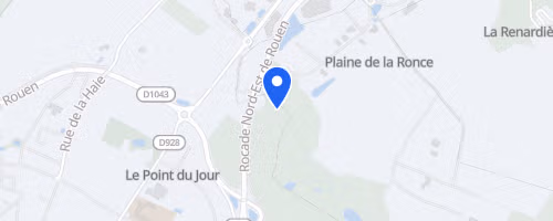 Trail de la forêt verte