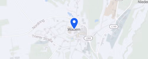 Haco Stadtlauf Wadern