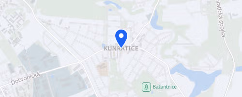 Pražský Kelt