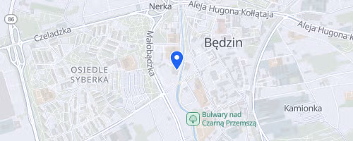 III Bedzinski Polmaraton Niepodleglosci