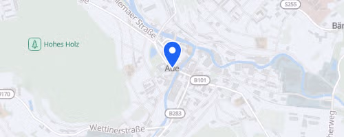 Silvesterlauf Erzgebirge Aue