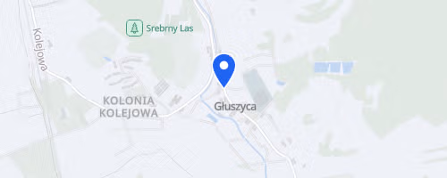 Sfbg Sudecki Festiwal Biegow Gorskich
