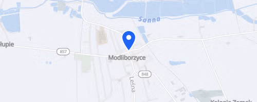 IX Charytatywny Bieg Mikolajkowy
