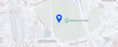 50. Kölner Silvesterlauf