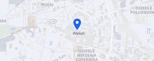 Trzeźwościowy Cross Maraton Wieluń
