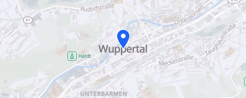 14. Schwebebahn-Lauf Wuppertal