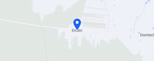 Gminny Bieg Leśny - Emilin