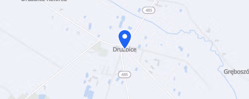 Bieg Św. Dominika - Drużbice