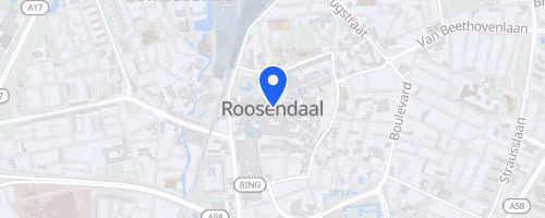 Halve Marathon van Roosendaal