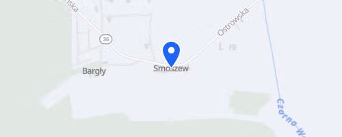 Bieg Dębów Smoszewskich
