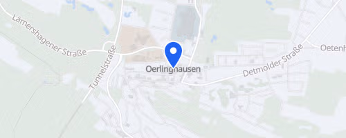 55. Weihnachtslauf Lipperreihe