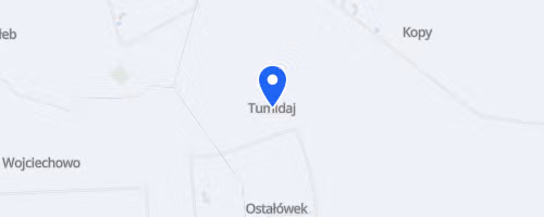 Leśny Bieg Gminy Brzeźnio