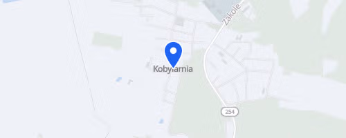 Bieg Dożynkowy - Kobylarnia