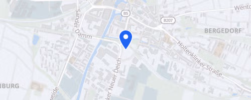 13. Bergedorfer Citylauf