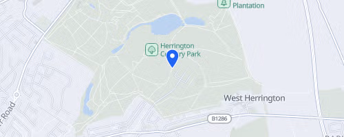 Urban Trail Series: Penshaw 10K & Half Marathon