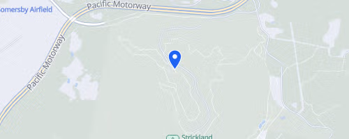 Strickland Stinger Canicross