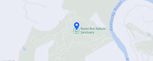 The Raven 10K
