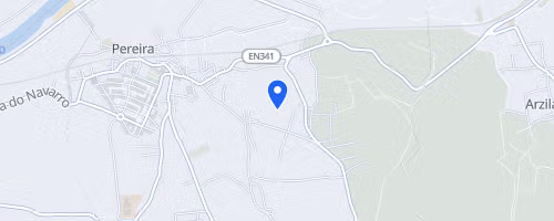 Meia Maratona do Ameal - Arte e Meios