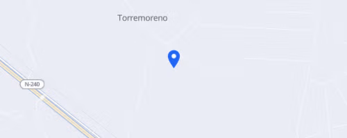 LXVII Carrera Pedestre-Tamarite de Litera (HUESCA)