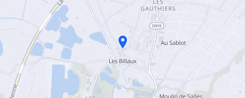 Course pédestre du marais des brizards - Les Billaux