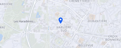 Aux Sources De La Sèvre - Brm 300 Km - Saint-herblain