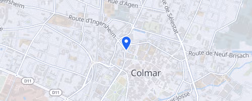 UBF 200-300-500 Km Vosges - Colmar