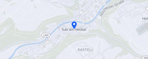 Firmenlauf Sulz am Neckar