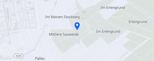 Fischerfestlauf Gernsheim
