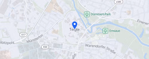 19. Volksbank-Citylauf Telgte