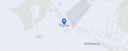 Thyrower Waldlauf