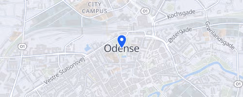 Odense Triatlon 2026