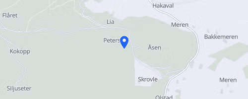 Lierløpet 9