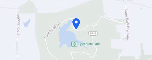 Dead Night Pines Trail Run