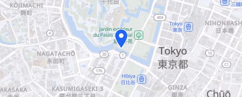 第238回UP RUN皇居マラソン◎計測タグ有◎